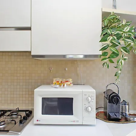 Terrace 2 公寓 罗马